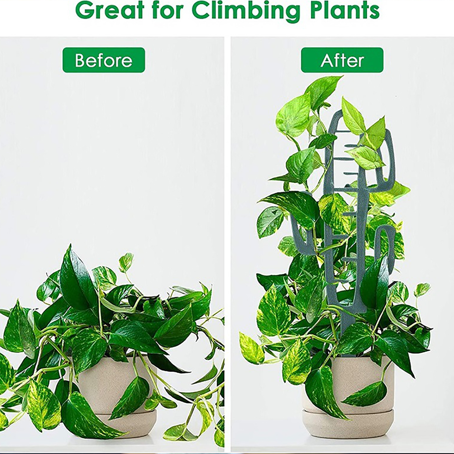 Plant Climbing Support Stand F - Bonsai Garden Kit のレビューと価格