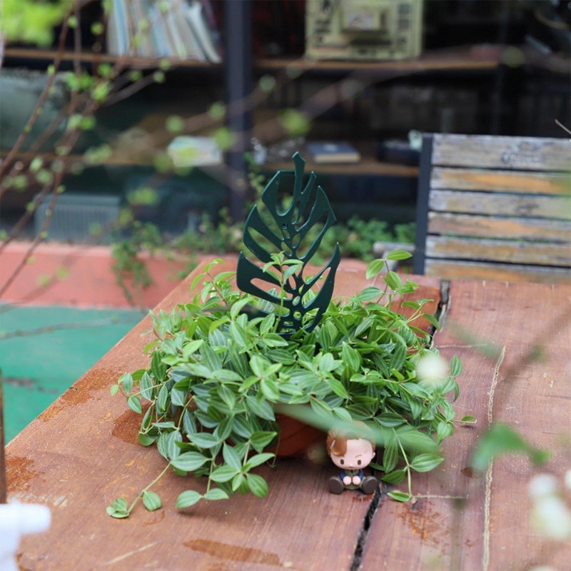 Plant Climbing Support Stand F - Bonsai Garden Kit のレビューと価格