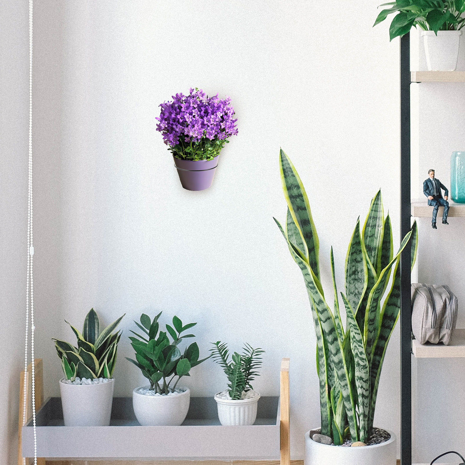 Iron Wall-Mounted Flowerpot Ra - Us Bonsai Garden のレビューと価格